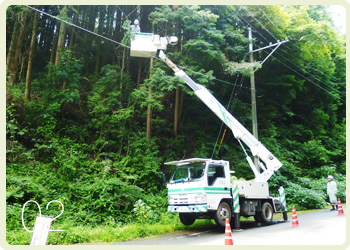 配電線支障木伐採業務