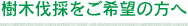 樹木伐採をご希望の方へ